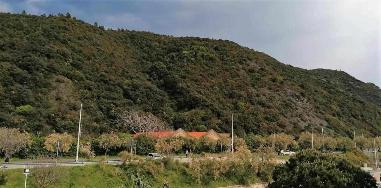 Maremosso Apartments Sestri Levante Eksteriør bilde